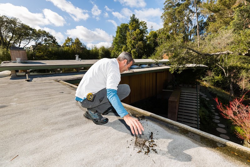 Above All Roofing Services, Inc. photo 3