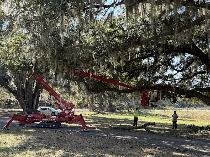 Southern Environmental Group - Lakeland photo 2