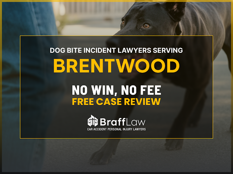 Braff Law Car Accident Personal Injury Lawyers photo 5