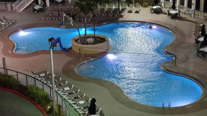 Island Gulf Resort photo 3