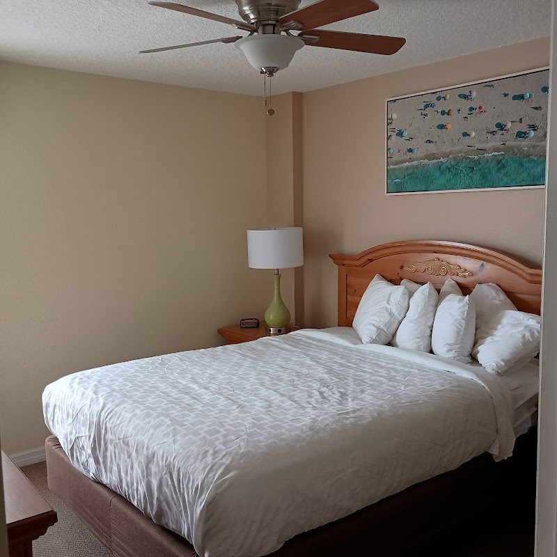 Island Gulf Resort photo 2