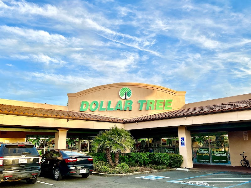 Dollar Tree photo 5