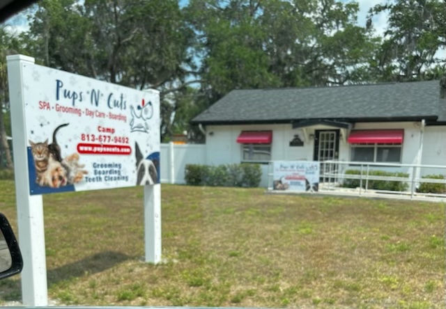 Photo of Pups N Cuts Camp