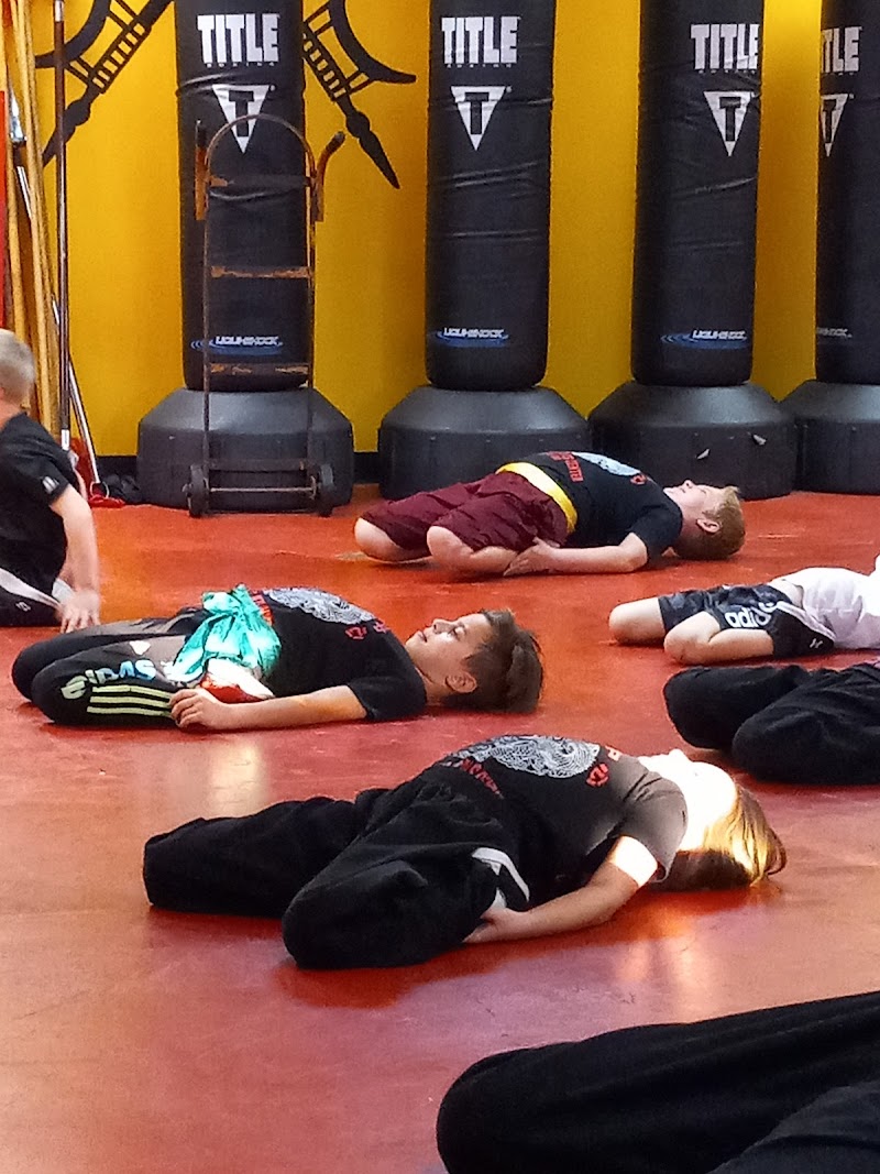 Chinese Martial Arts Center photo 3