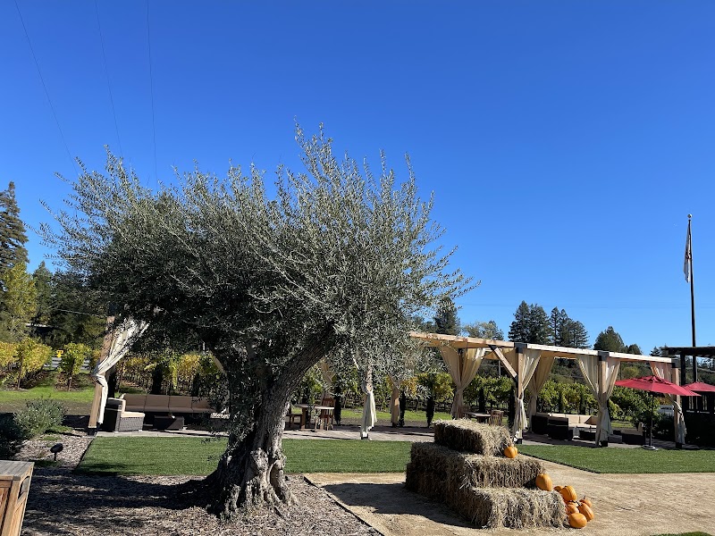 Orsi Family Vineyards photo 5