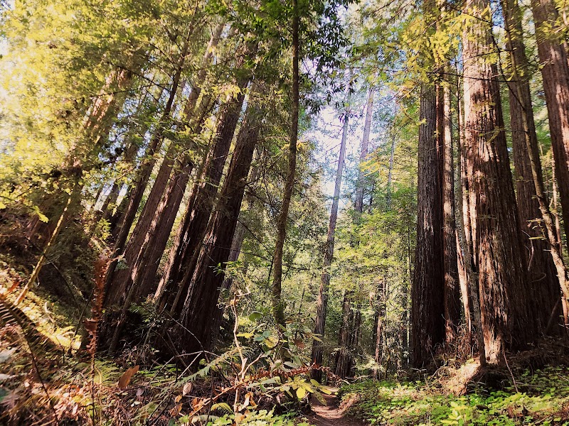 Photo of The Madeleine Sone Wildlife Preserve