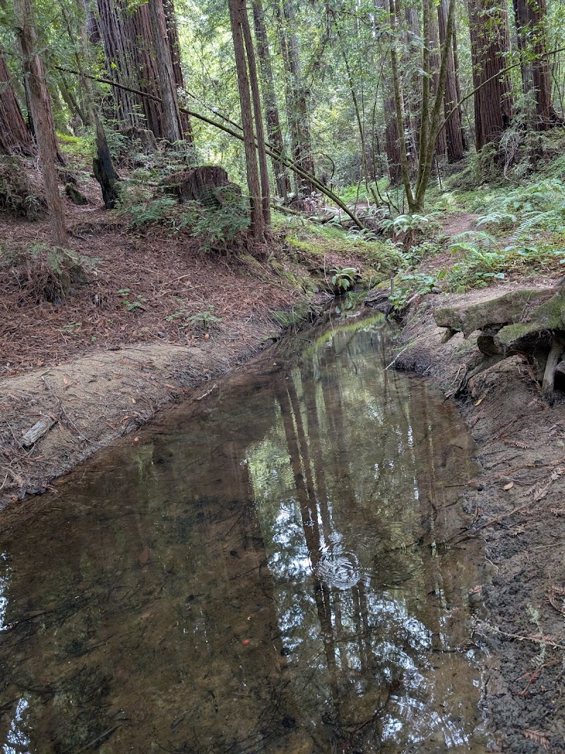 The Madeleine Sone Wildlife Preserve photo 5