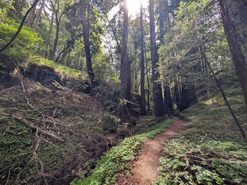 The Madeleine Sone Wildlife Preserve photo 2