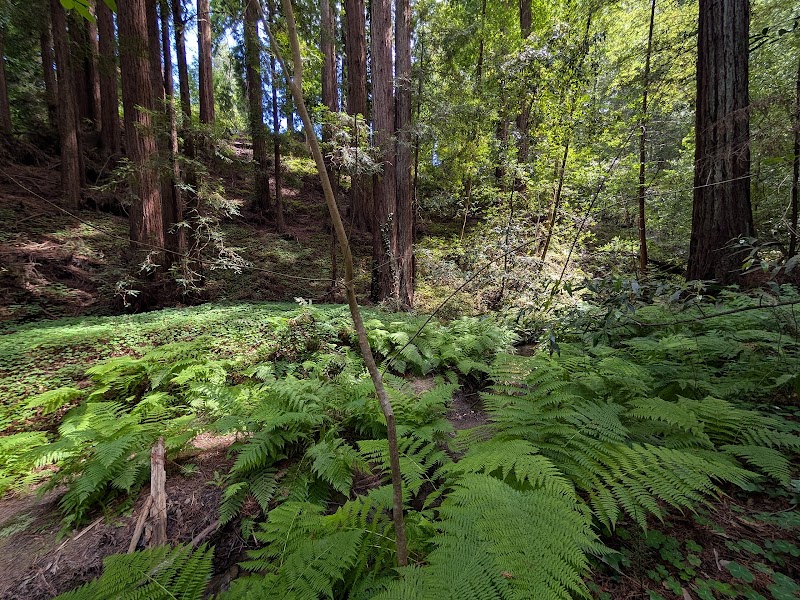 The Madeleine Sone Wildlife Preserve photo 4