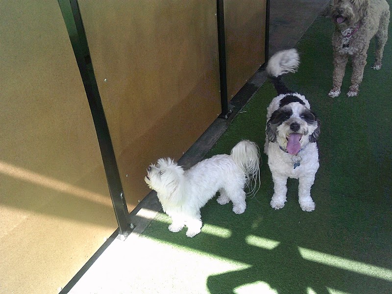 Waiterock Kennels Inc photo 5
