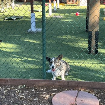 Waiterock Kennels Inc photo 4