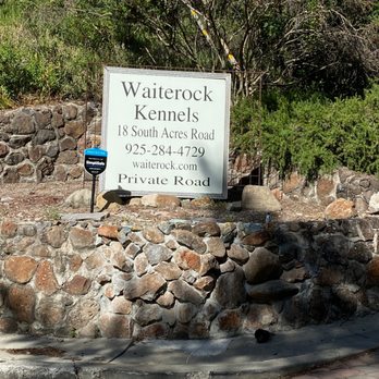 Waiterock Kennels Inc photo 3