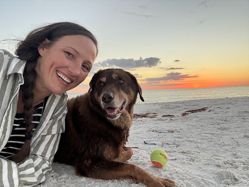Tarpon Woods Veterinary Medical Center photo 4