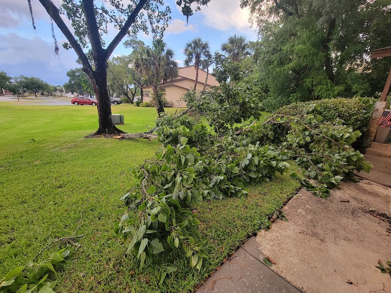 Tarpon Woods Veterinary Medical Center photo 5