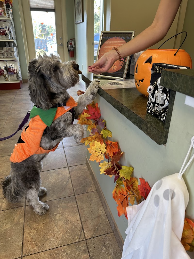 Tarpon Woods Veterinary Medical Center photo 2