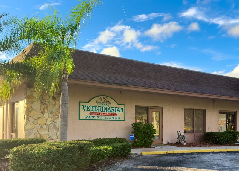 Tarpon Woods Veterinary Medical Center photo 3