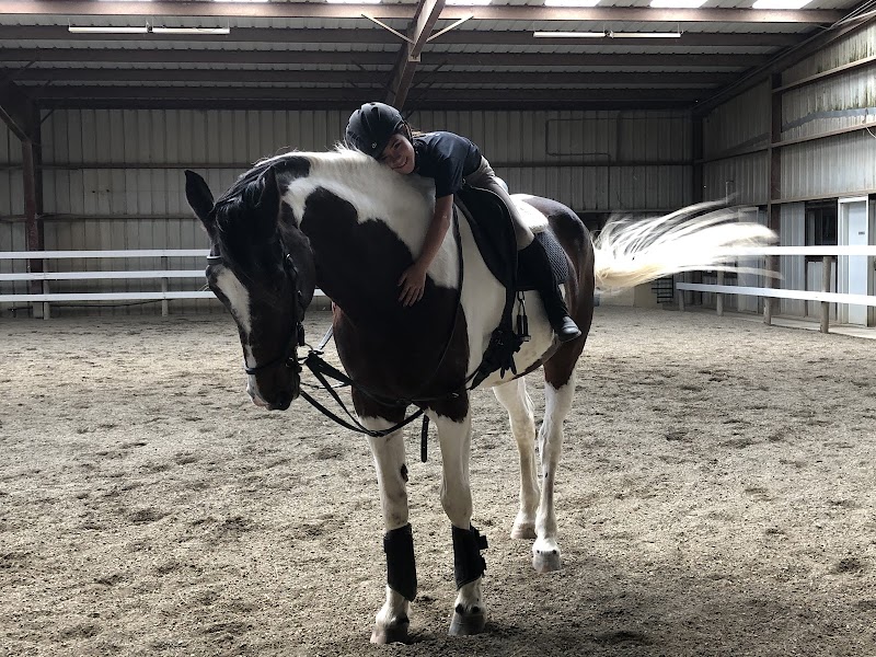 Photo of Valley Dressage & Sport Horse