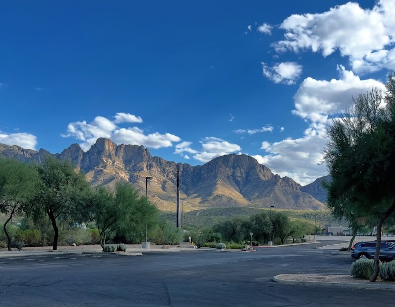 Photo of The Picklr Oro Valley