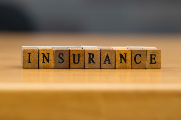 Magnificent Insurance FL photo 2