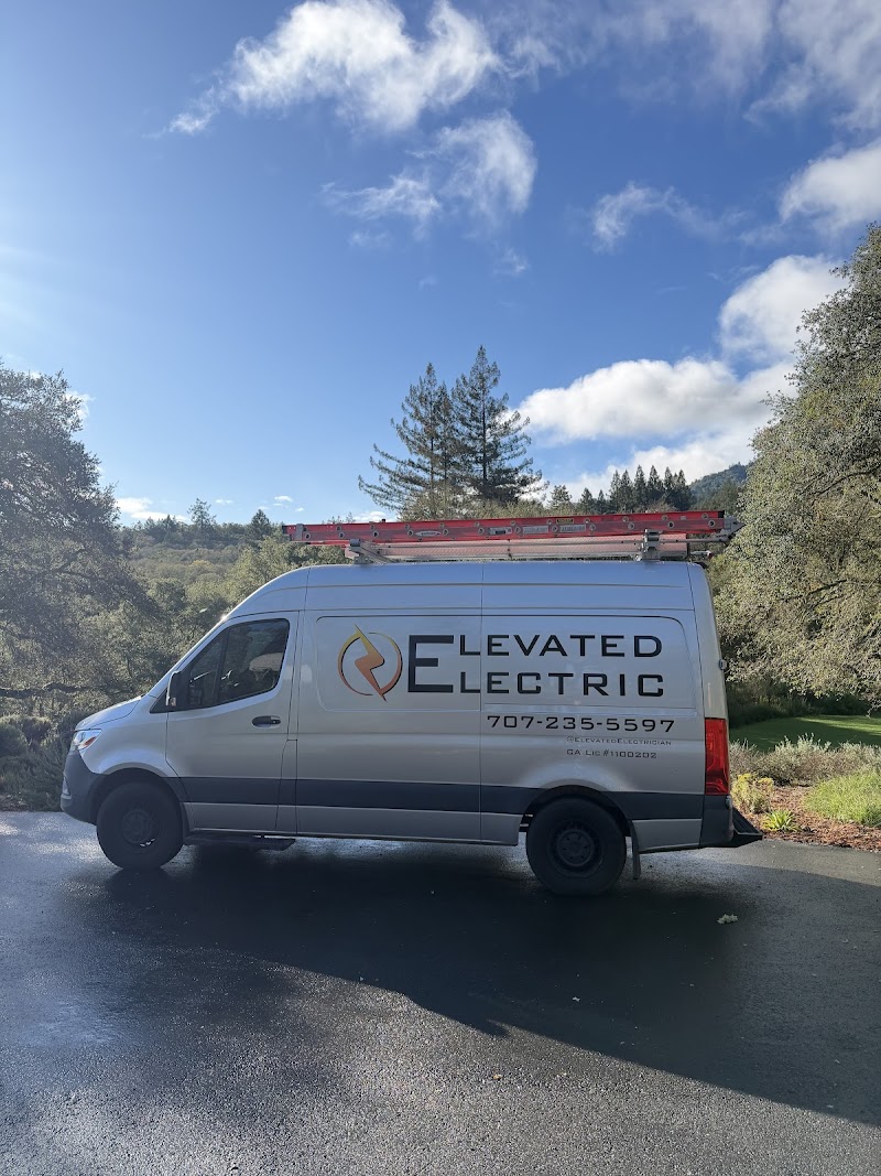 Elevated Electric photo 3