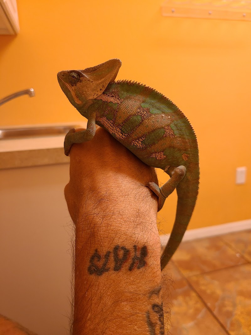 Treasure Cove Pet shop photo 3