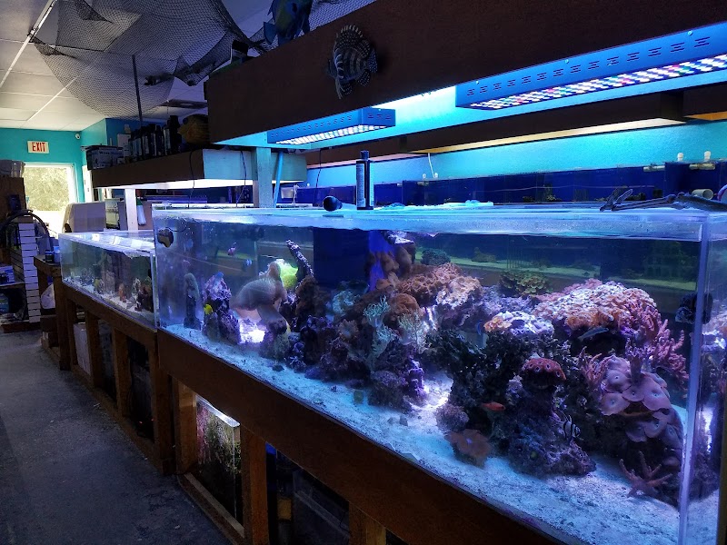 Treasure Cove Pet shop photo 2