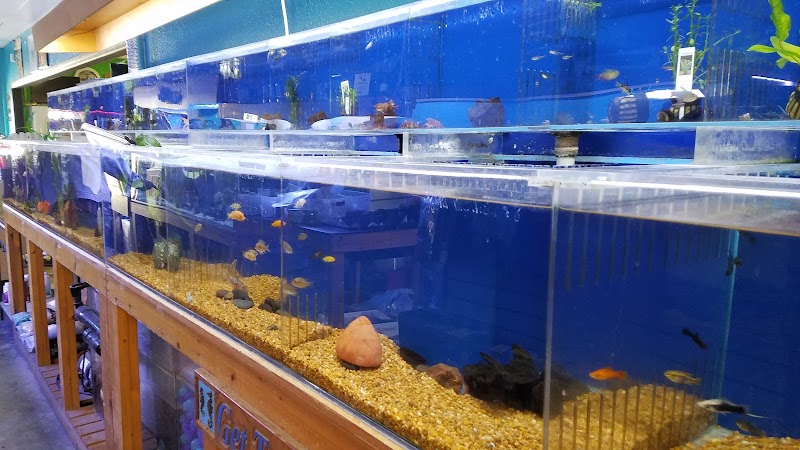Treasure Cove Pet shop photo 5