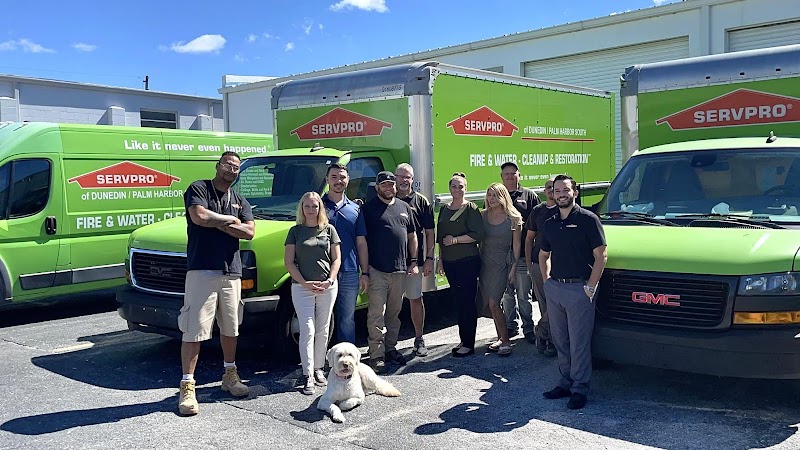 SERVPRO of Dunedin / Palm Harbor South photo 2