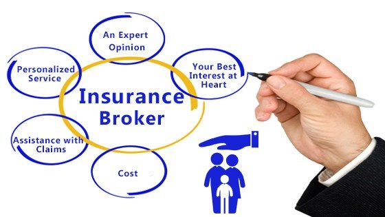 Hernandez Agency & DMV Business Partner Services photo 4