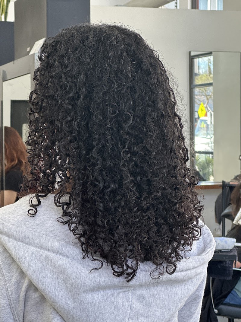 Limón Salon photo 2