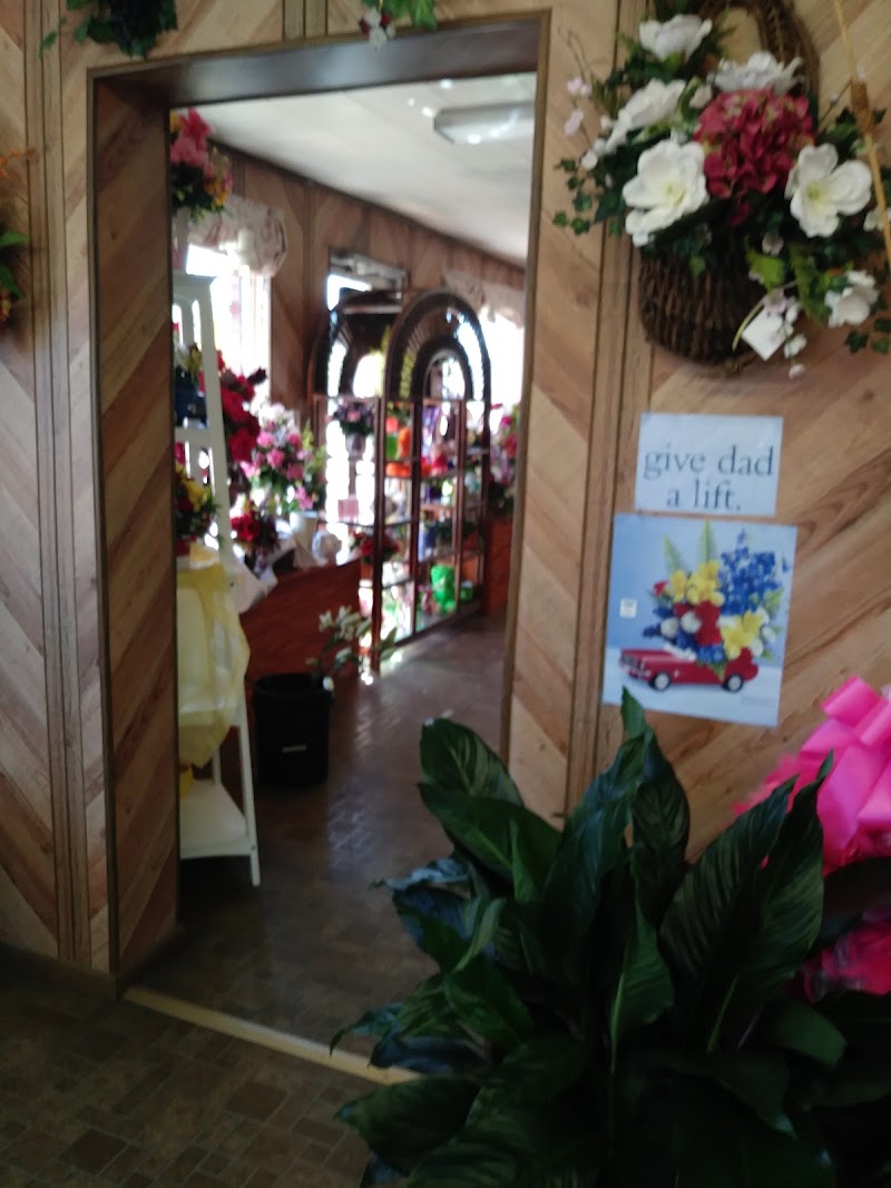 Photo of The House of Flowers