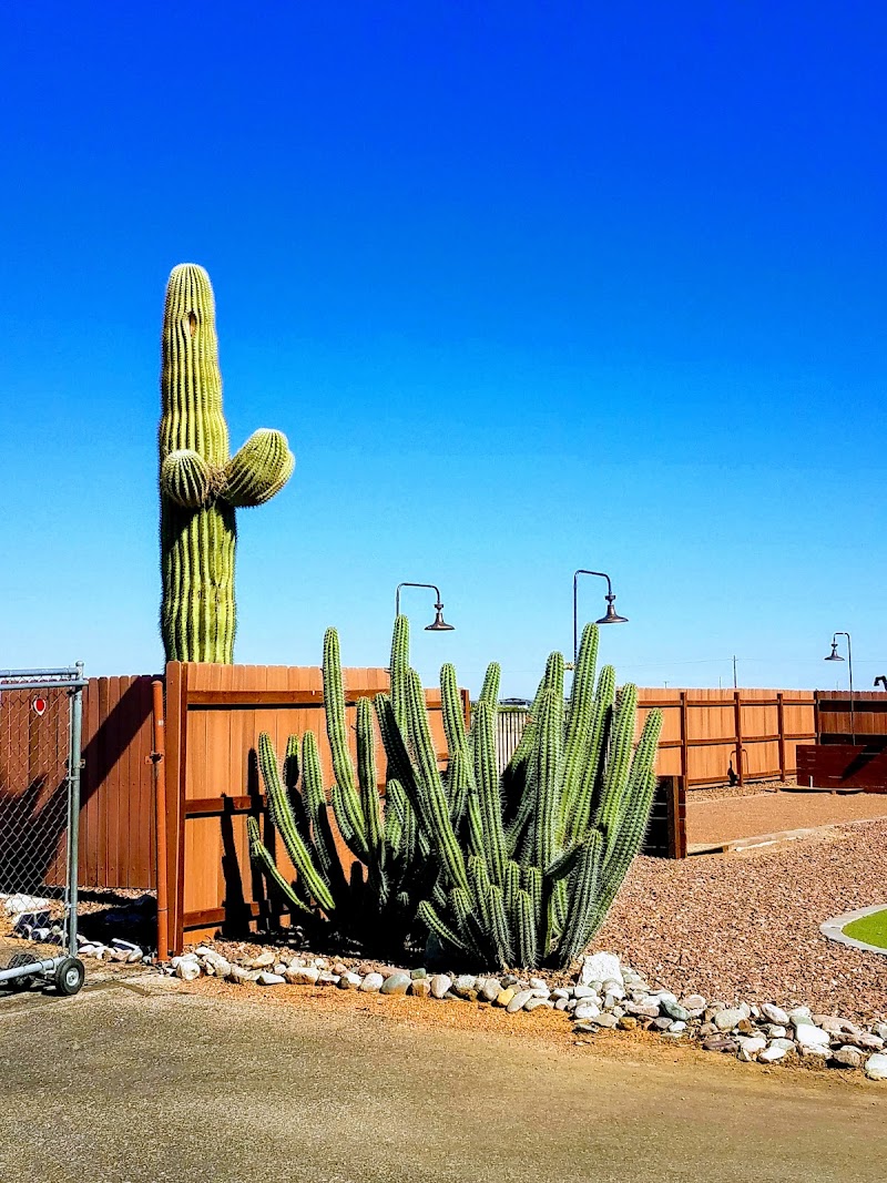 Las Colinas Motor Home-RV Resort photo 3