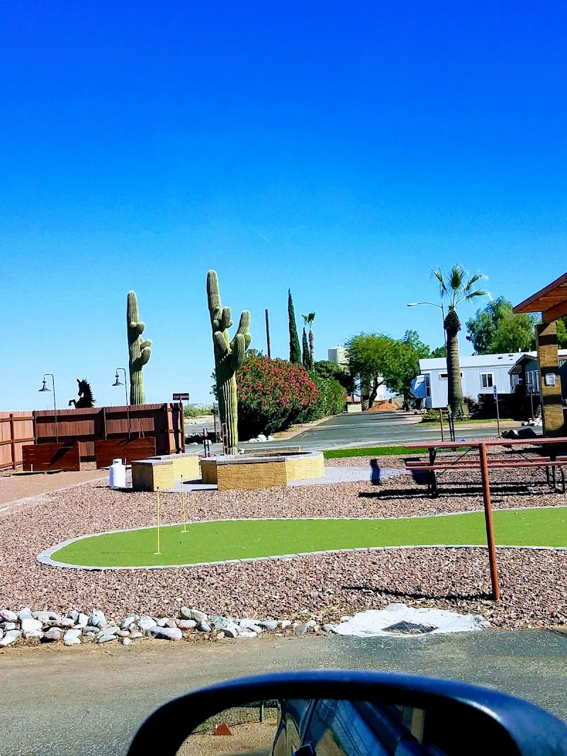 Photo of Las Colinas Motor Home-RV Resort