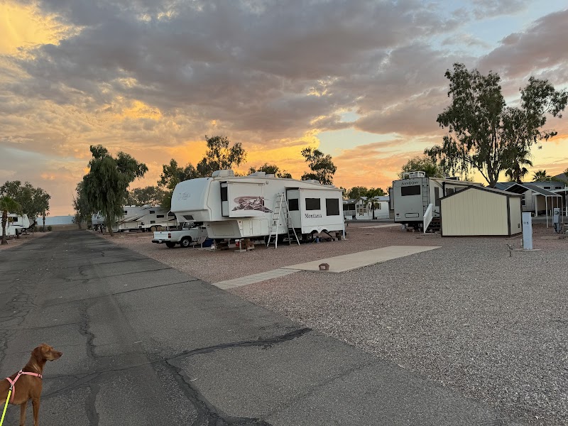 Las Colinas Motor Home-RV Resort photo 5