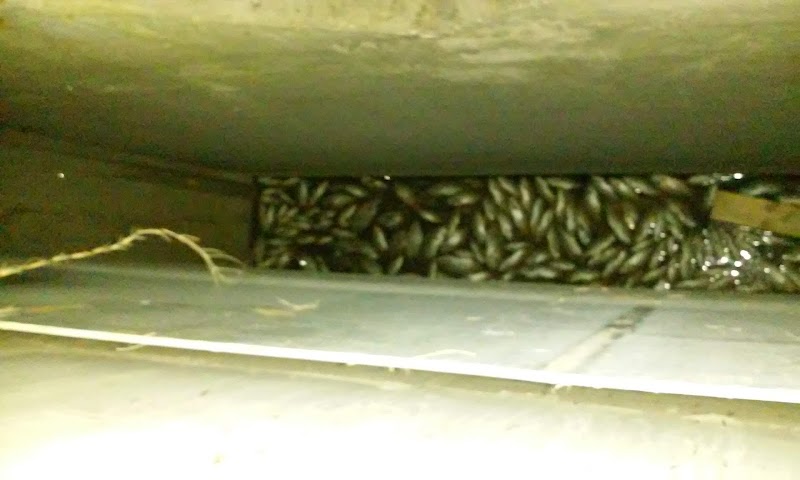 Photo of FC Mullis Plumbing