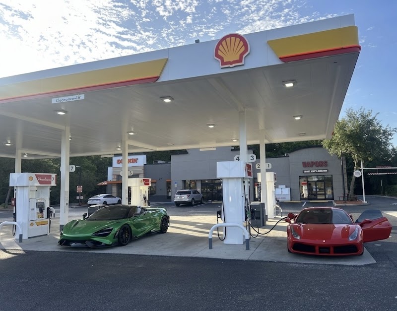 Shell photo 2