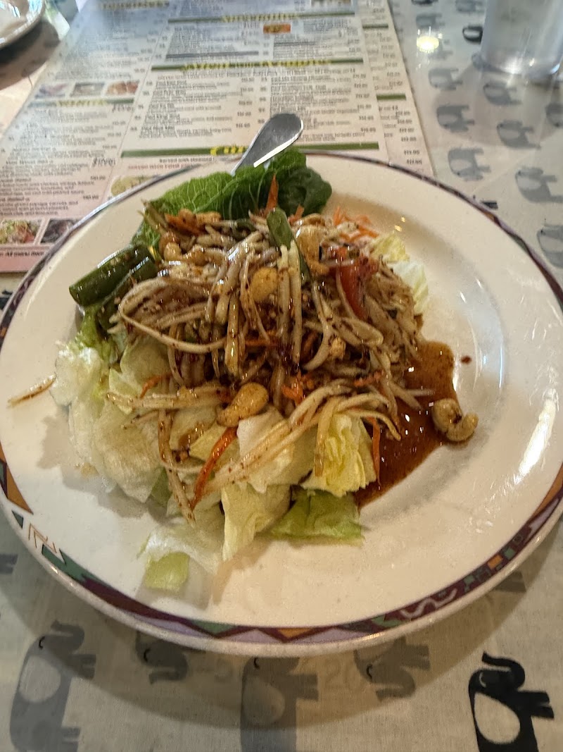 Thai Gardens photo 5