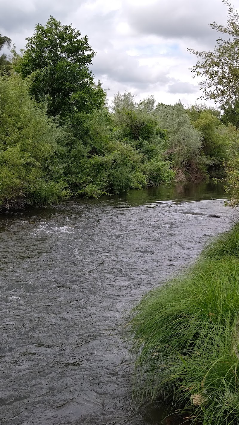 Photo of Russian River Bridge