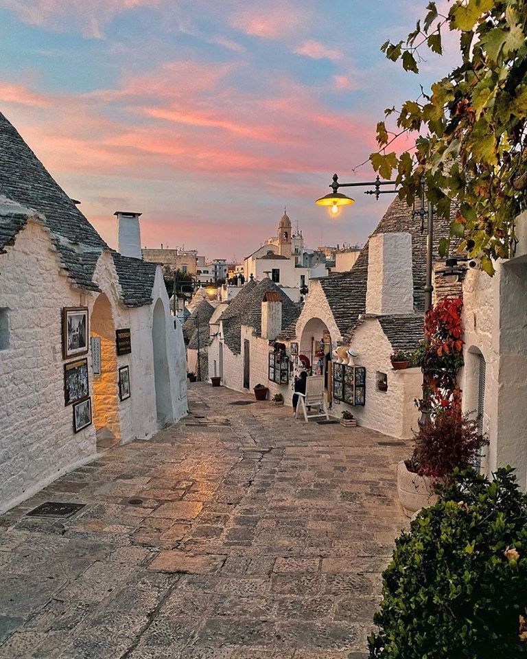 Travel and Cruise World photo 5