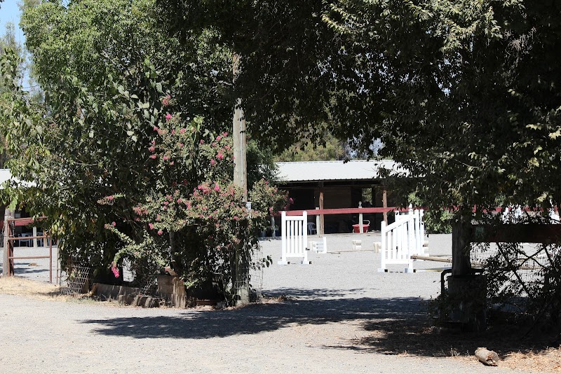 Horsequarters Boarding Stable photo 3