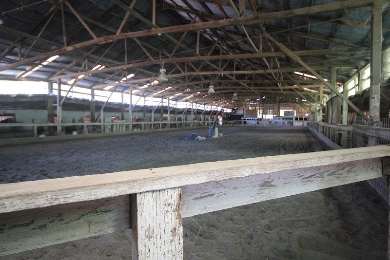 Horsequarters Boarding Stable photo 4