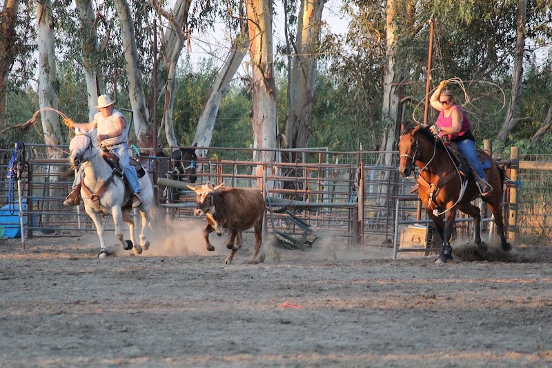 Photo of Horsequarters Boarding Stable