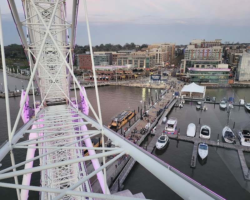 The Capital Wheel photo 4
