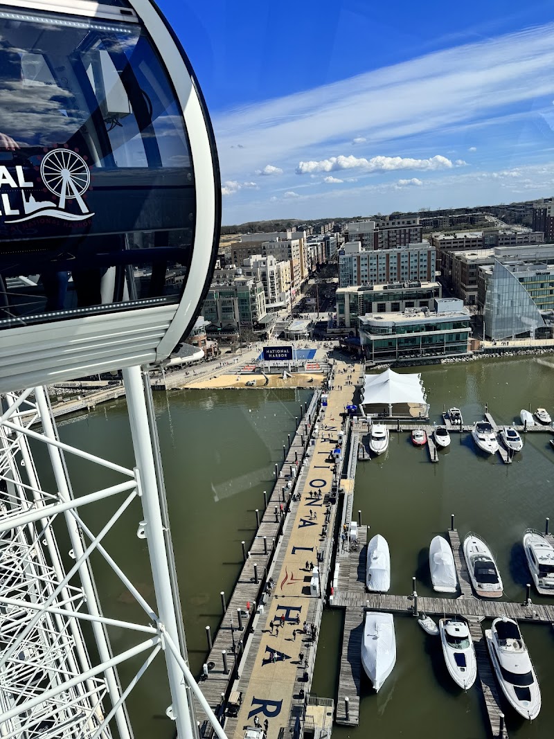 The Capital Wheel photo 5