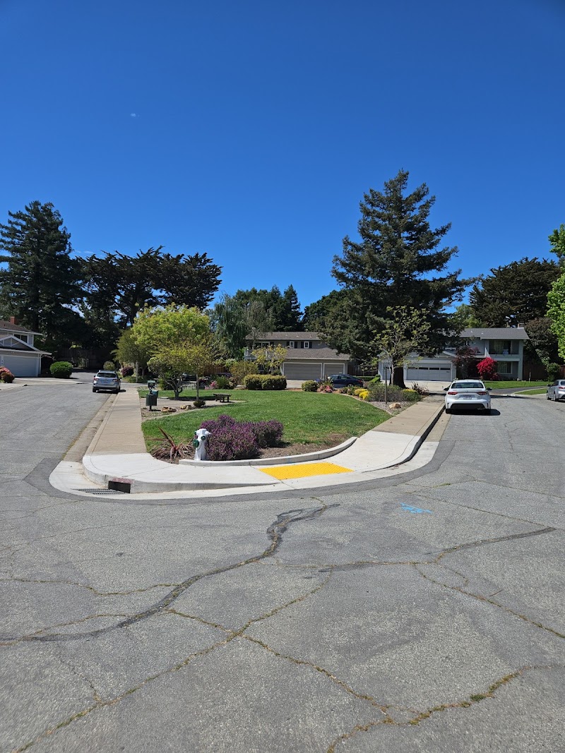 College View Park photo 3
