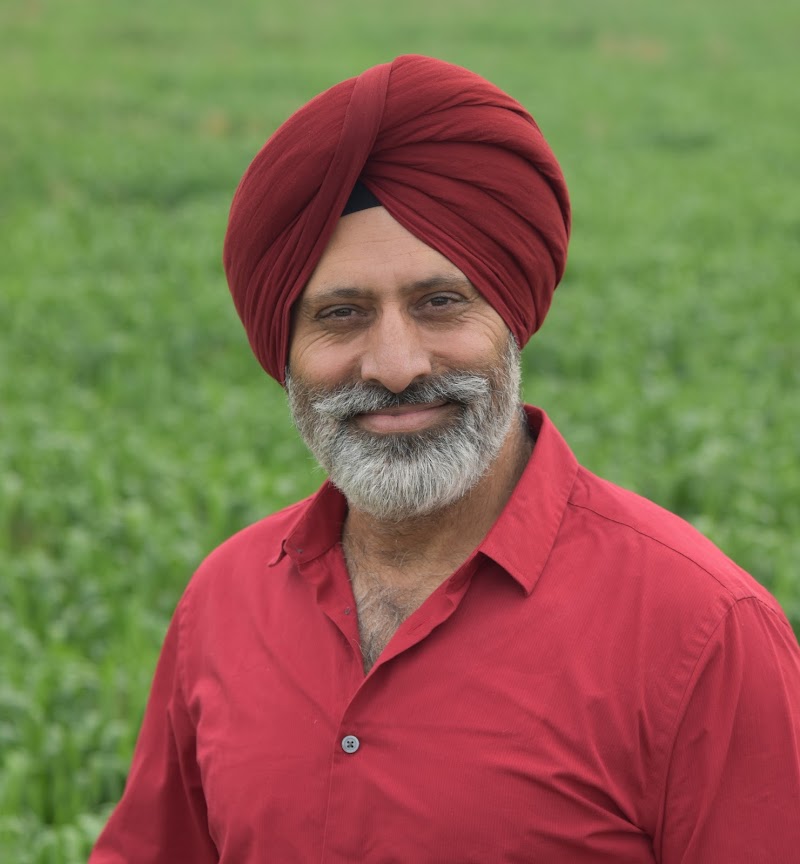Aulakh Immigration Help photo 5
