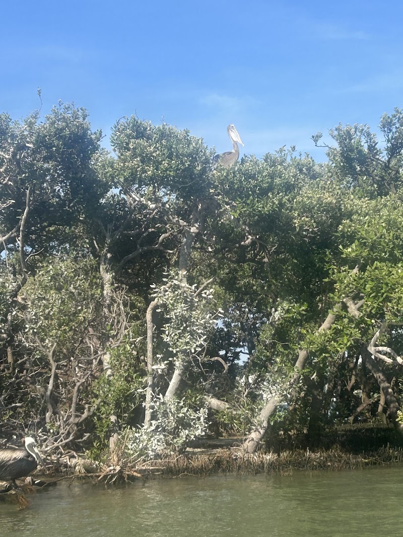 Saltwater Adventure Co. photo 5