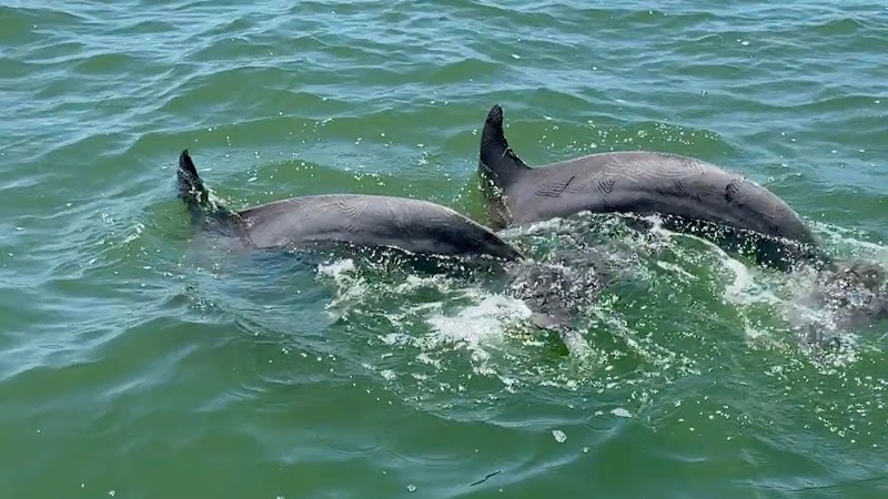 Saltwater Adventure Co. photo 3