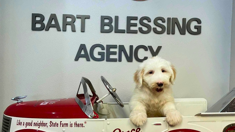 Photo of Bart Blessing - State Farm Insurance Agent