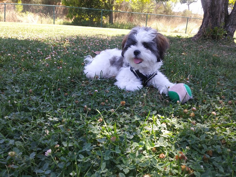 Stacy K While You're Away Pet and Home Services photo 5